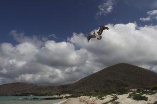 L'île de Floreana a été l'une des premières habitées par l'homme de l'archipel des Galapagos (archives).